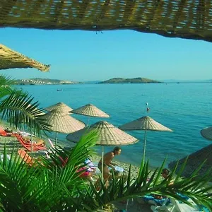 Teras Foça